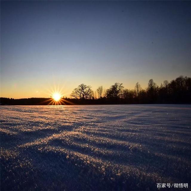 匈牙利战胜冰岛,晋级前景稍现曙光 匈牙利战胜冰岛,晋级前景稍现曙光