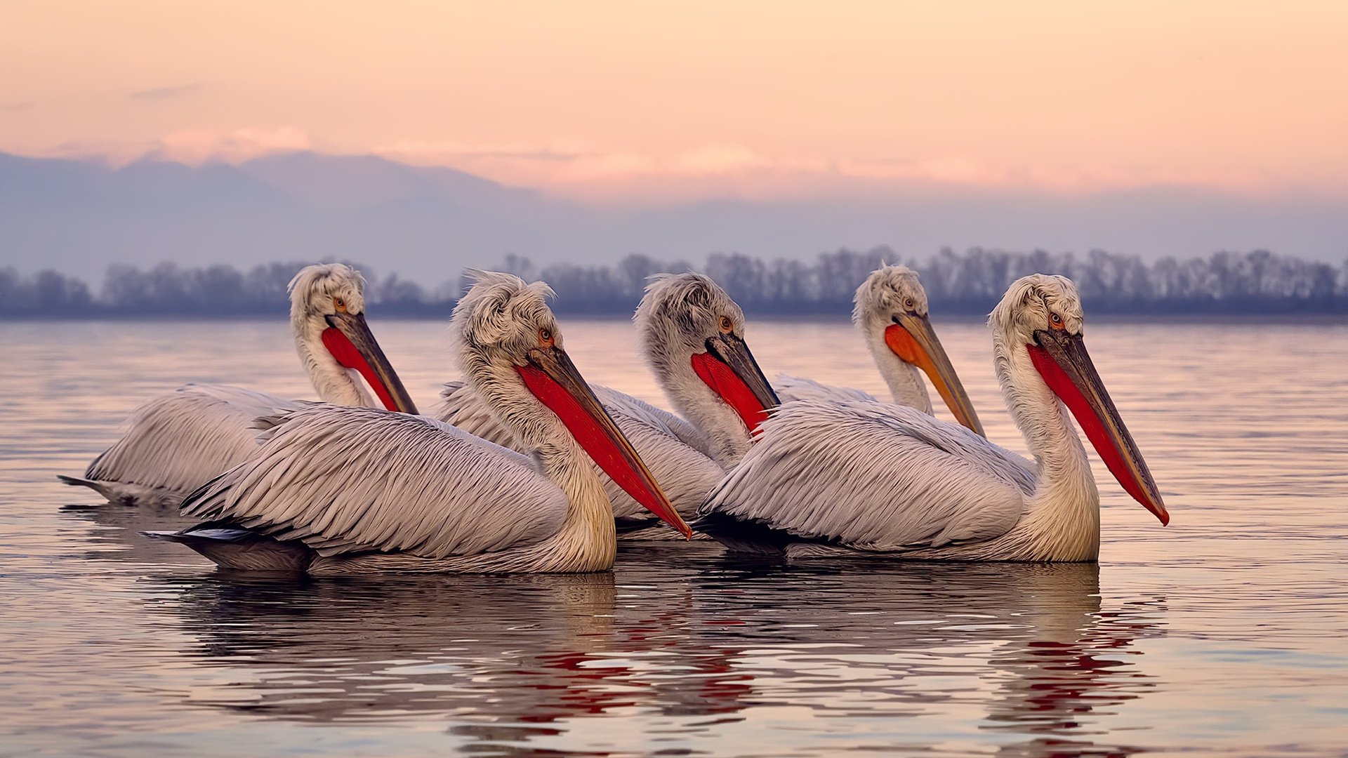 从得分狂人到组织核心，恩比德的华丽转型如何助篮网轻取鹈鹕