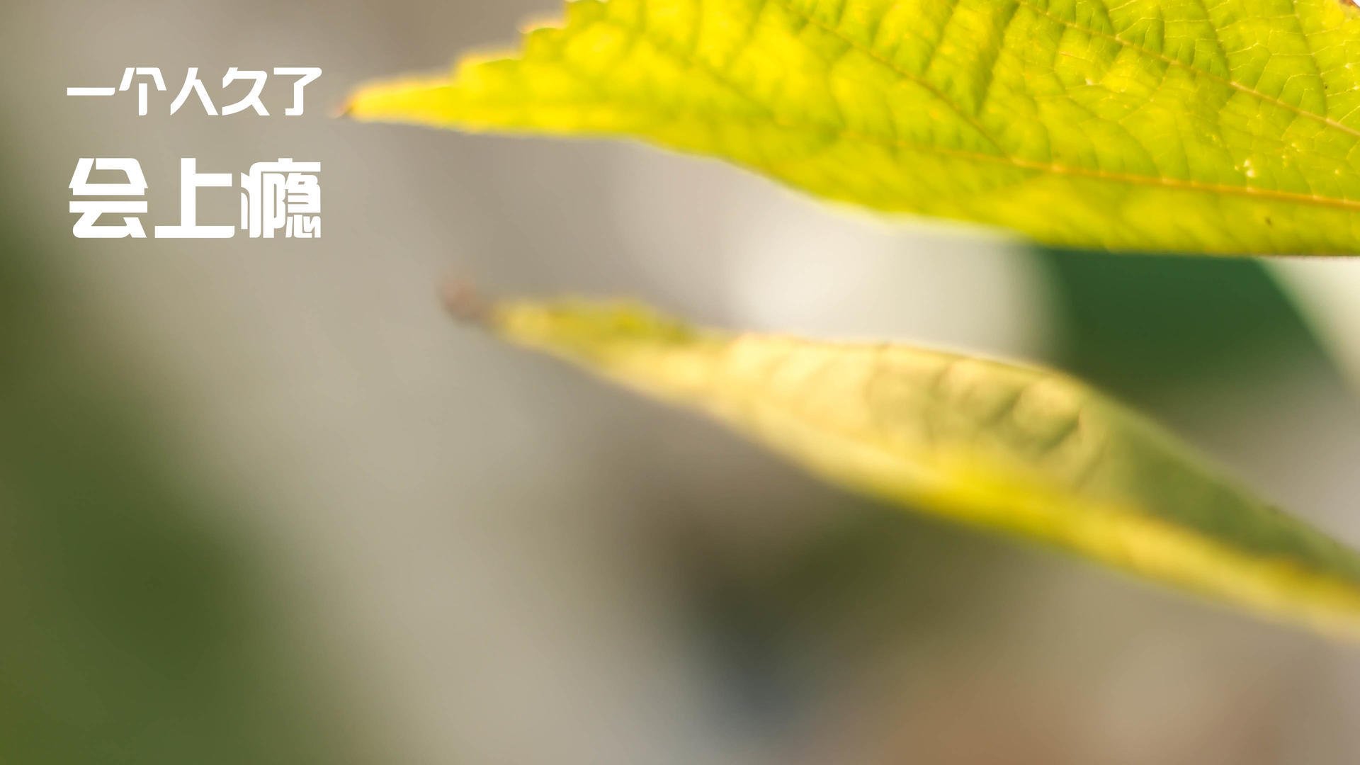 雷火电竞官网-英雄夜，定乾坤，卢卡库于世界排名争夺战的淬火时刻