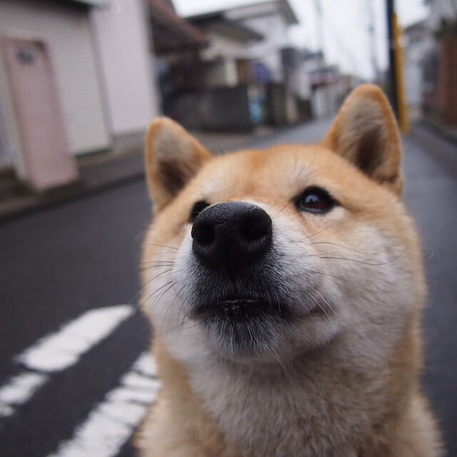 东决关键战之夜，贝恩如暗夜狙击手，用三分雨击穿所有质疑