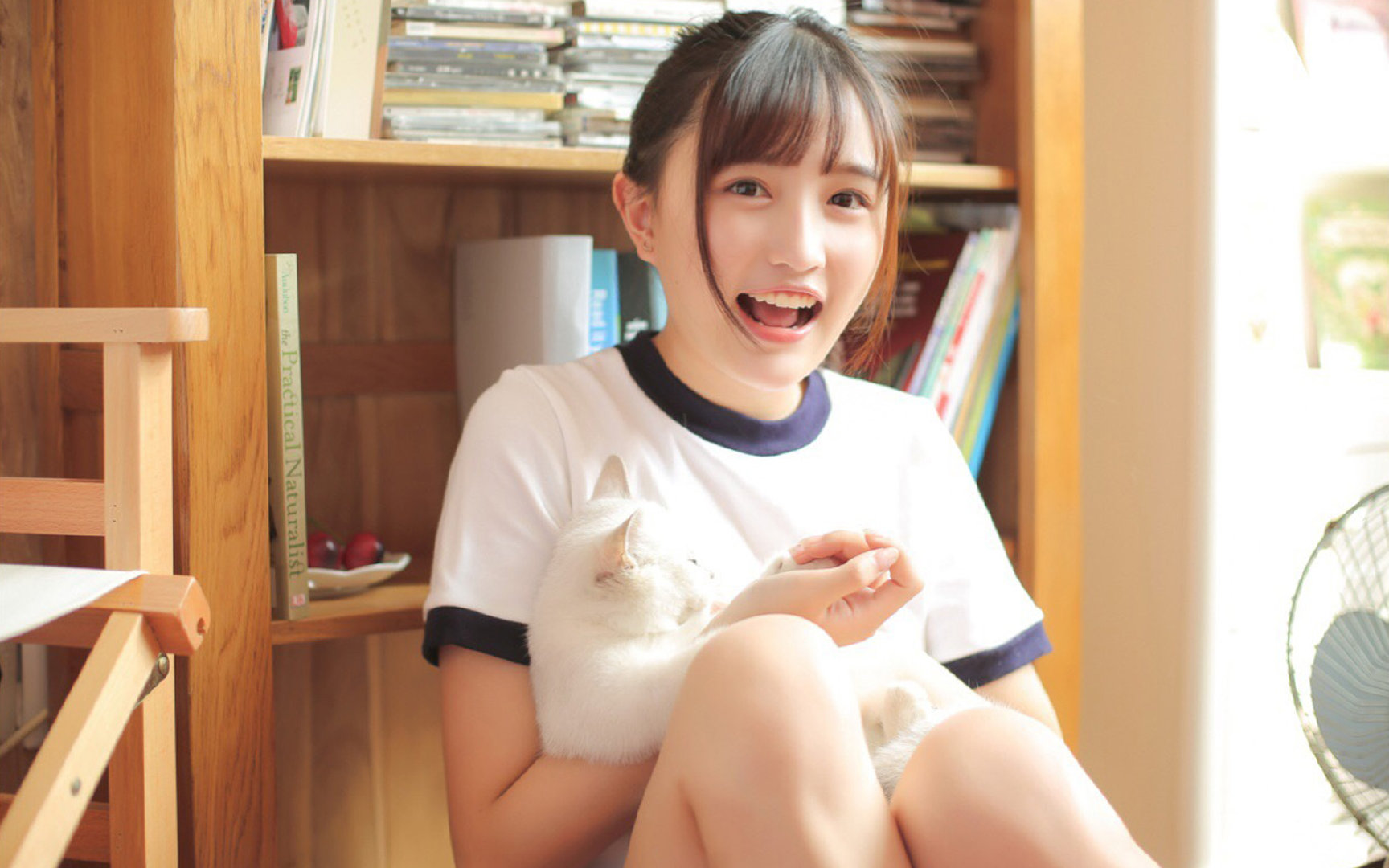 绿茵F1，芬兰式逆袭与巴斯塔潘的黄色风暴