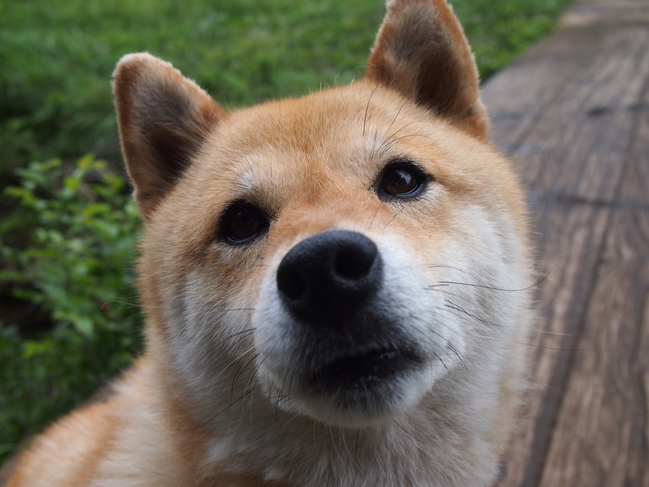 雷火电竞网址-临界点，东欧铁流与新月防线的抢七暗喻