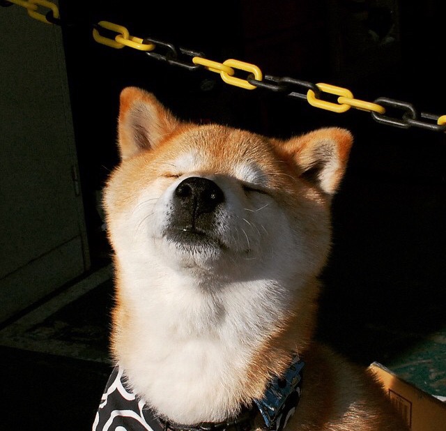 雷火电竞网站-下一站超巨？莫兰特末节15分价值连城，魔术四前锋铁阵拆解步行者进攻