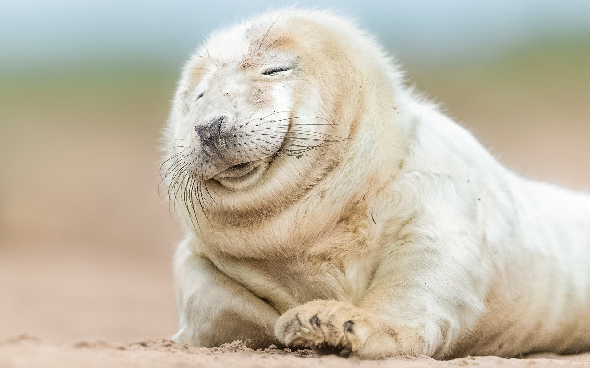 神迹诞生!杜兰特化身关键先生引领火箭小卒掀翻步行者豪门