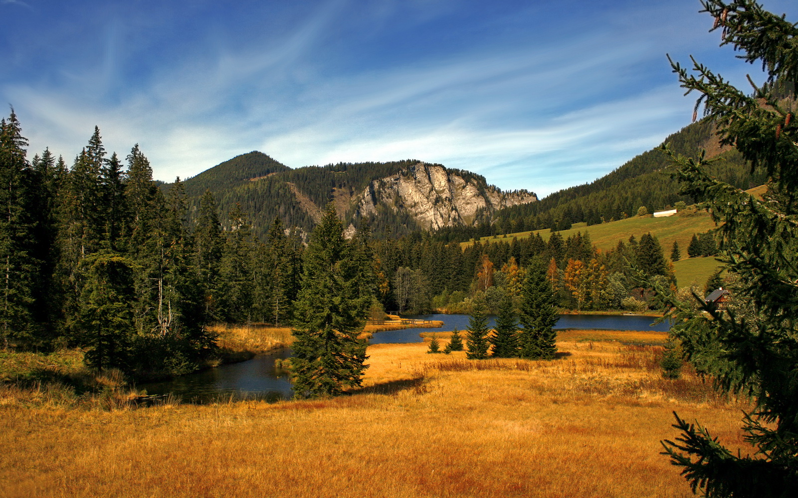 极速之光，当巴林的胎烟遇见老特拉福德的弧线