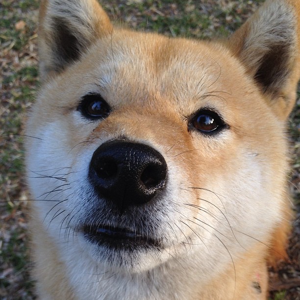 雷火电竞官网-跨界烽烟，库里全能统治夜，山西奇兵终结迈阿密