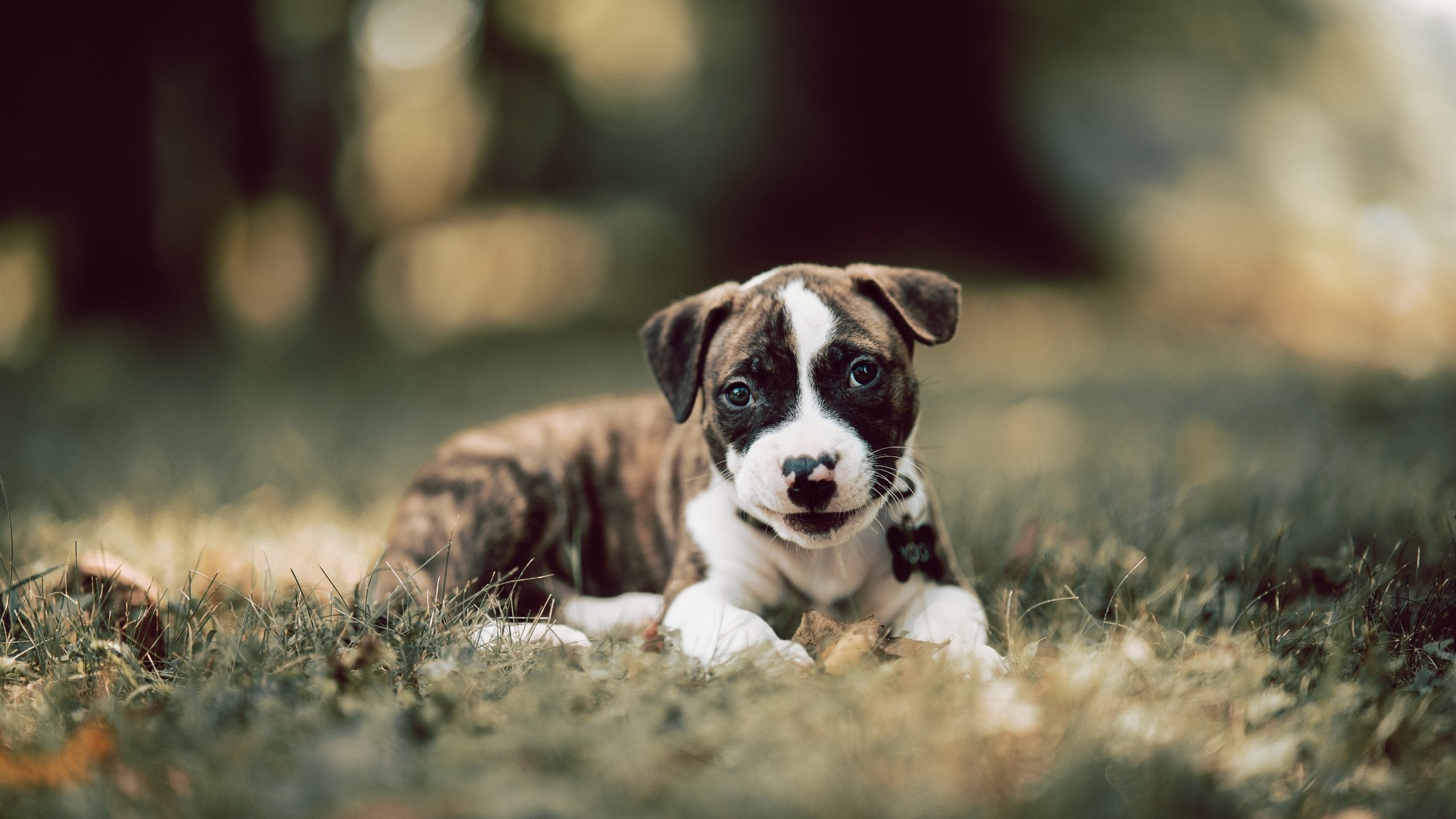 雷火电竞合作-东方飓风席卷圣城，当浙江队的节奏撕开马刺体系，爱德华兹成为跨洋教科书