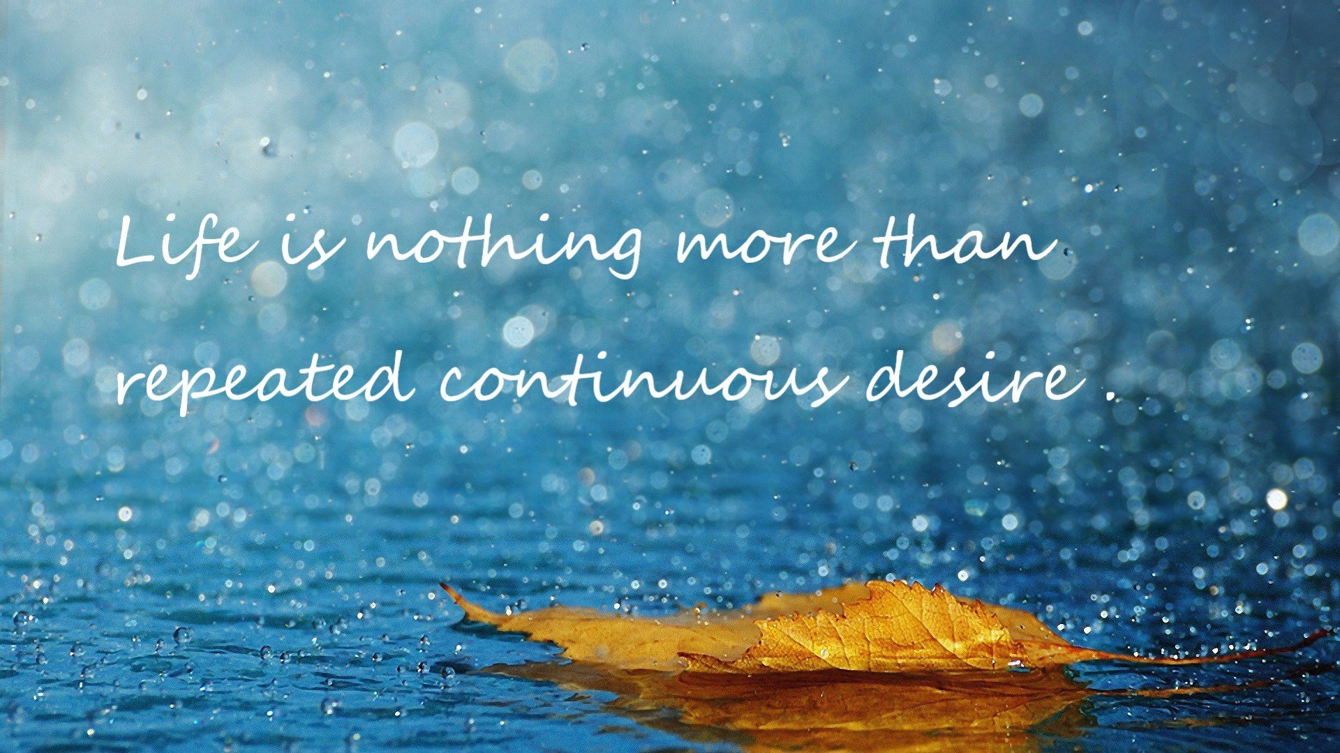 布雷默，今夜，请燃尽我