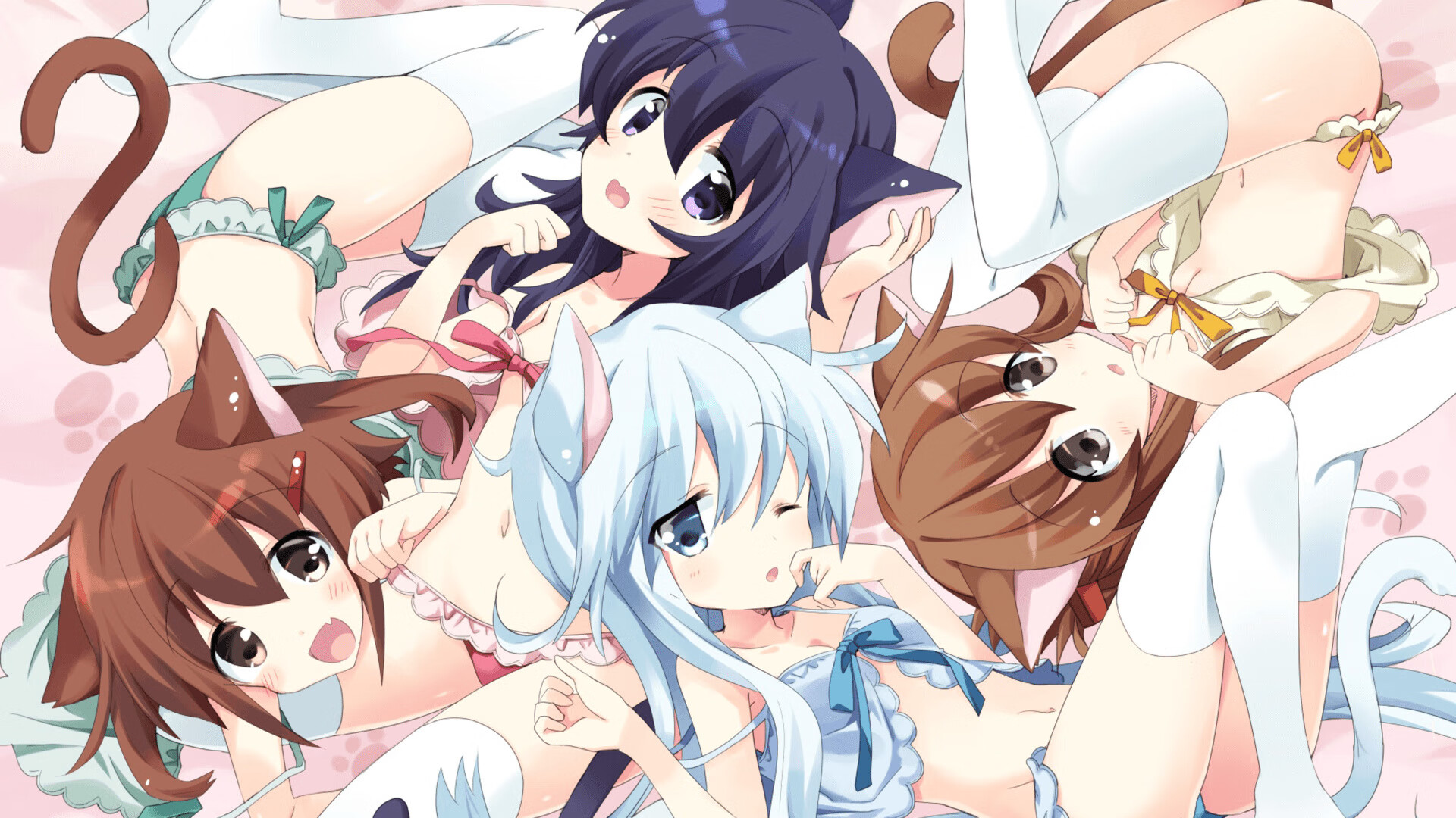 完美风暴，当马克西的疯狂撞上猛龙嗜血群狼的死亡齿轮