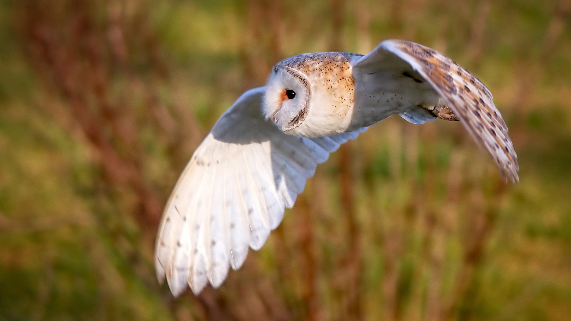 跨界的豪赌,曼联东决掀翻加纳,破局的永远是不守规则者