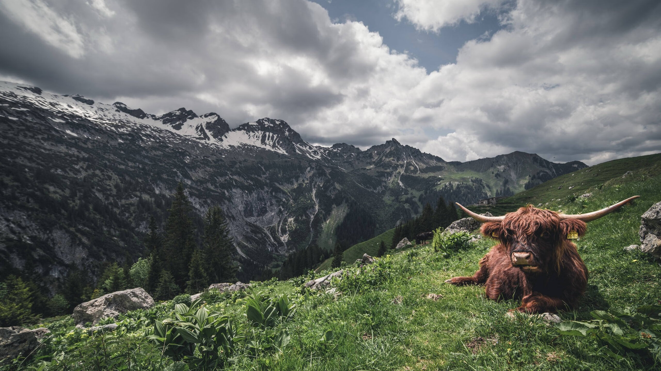 雷火电竞网站-不死斗士戈麦斯！一夜间，他将神经刀的蔑称锻造成神之名