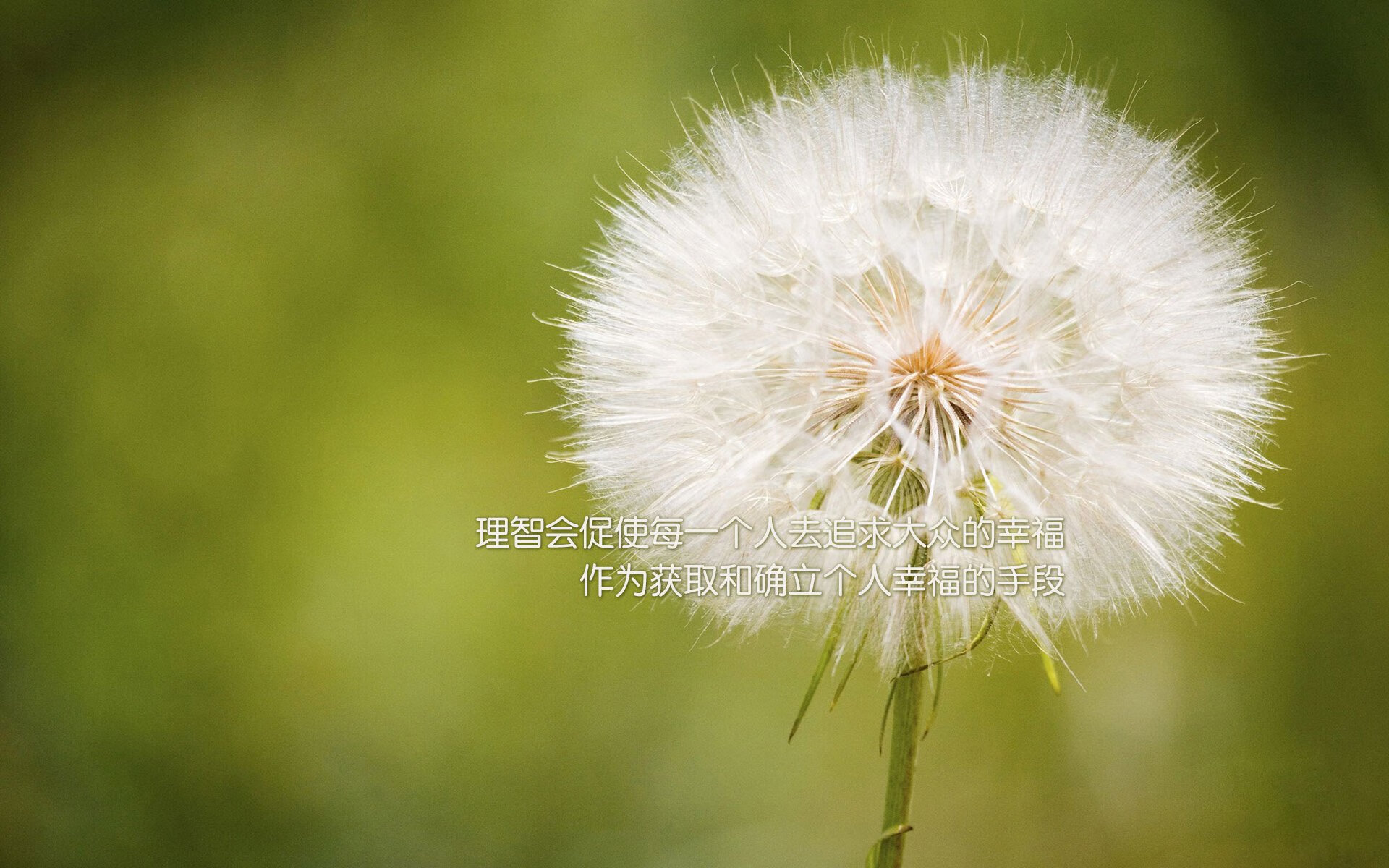 雷火电竞官网-沙漠之鹰刺穿星条旗，2026世界杯F组，伊拉克绝杀美国，迪亚斯一战封神